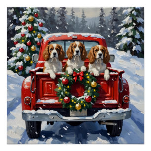 Cavalier King Charles Spaniel Christmas Red Truck Poster