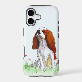 Cavalier King Charles Spaniel CKC