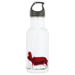 Cavalier King Charles Spaniel CKC 532 Ml Water Bottle