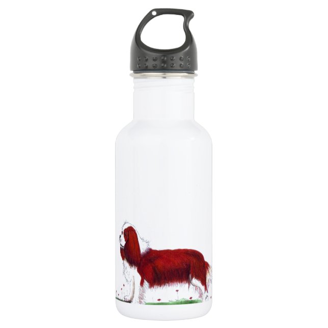 Cavalier King Charles Spaniel CKC 532 Ml Water Bottle (Front)