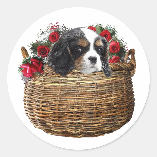 Cavalier King Charles Spaniel Classic Round Sticker (Front)