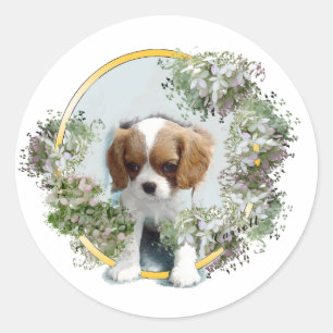 Cavalier King Charles Spaniel Classic Round Sticker