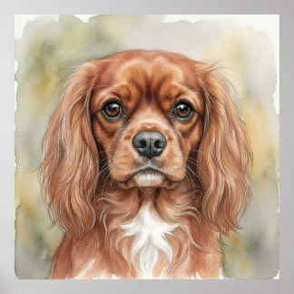 Cavalier King Charles Spaniel Close-Up Watercolour Poster