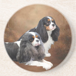 Cavalier King Charles Spaniel Coaster