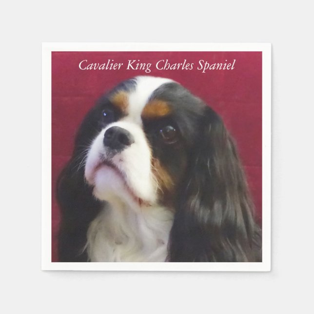 Cavalier King Charles Spaniel Cocktail Napkins (Front)