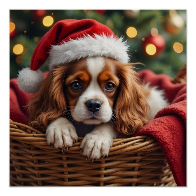 Cavalier King Charles Spaniel Cozy Basket Poster (Front)