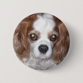 CAVALIER KING CHARLES SPANIEL DOG 2 INCH ROUND BUTTON