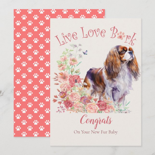 Cavalier King Charles Spaniel Dog Adoption, Gotcha Card (Front/Back)