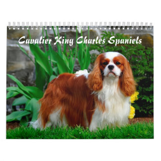 Cavalier King Charles Spaniel Dog Calendar