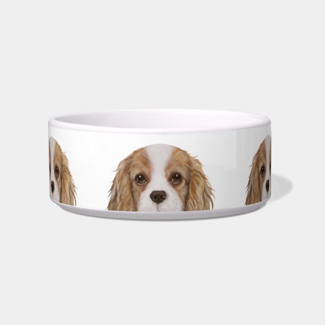 Cavalier King Charles Spaniel Dog illustration Bowl (Front)