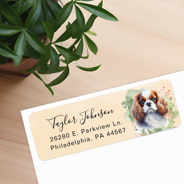 Cavalier King Charles Spaniel Dog Return Address (Creator Uploaded)