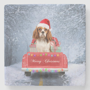 Cavalier King Charles Spaniel Dog Snow christmas  Stone Coaster