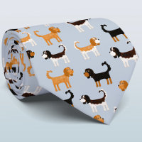 Cavalier King Charles Spaniel Dog