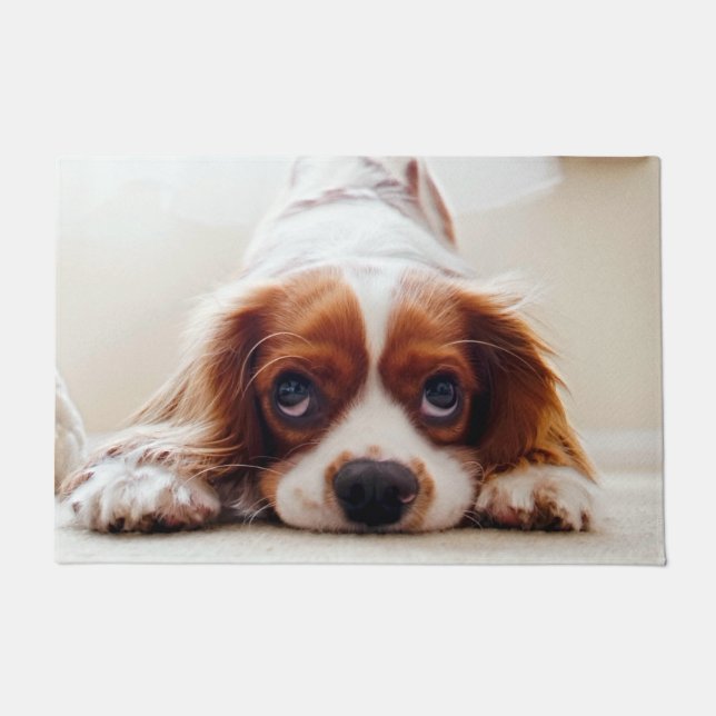 Cavalier King Charles Spaniel Doormat (Front)