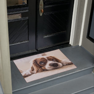 Cavalier king charles spaniel doormat