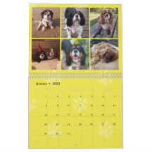 Cavalier King Charles Spaniel FB Calendrier du gro
