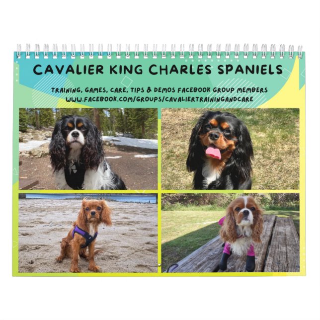 Cavalier King Charles Spaniel FB Group Calendar (2 (Cover)