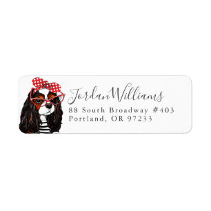 Cavalier King Charles Spaniel From Paris With Love