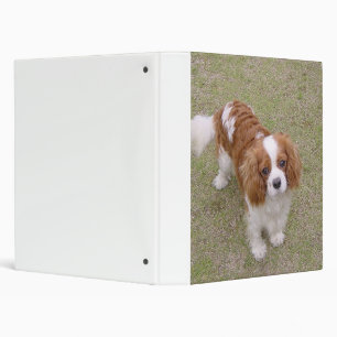 Cavalier-king-charles-spaniel full binder