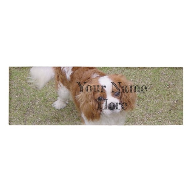 Cavalier-king-charles-spaniel full name tag (Front)