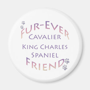 Cavalier King Charles Spaniel Furever Magnet