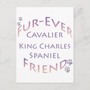 Cavalier King Charles Spaniel Furever Postcard