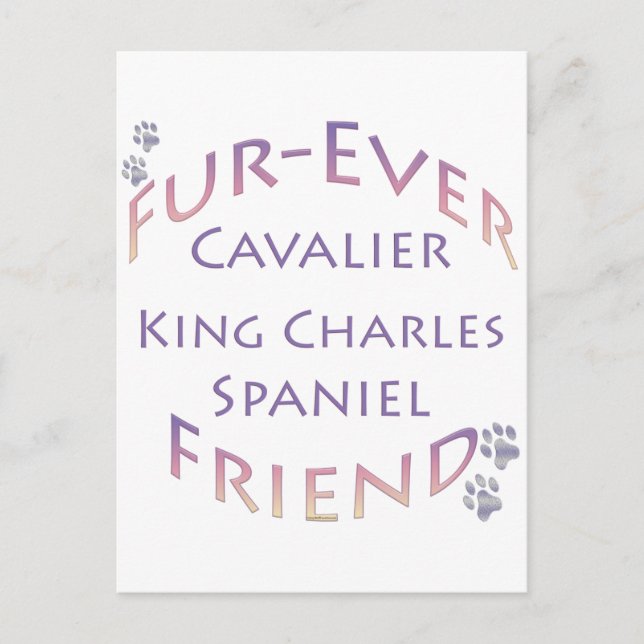 Cavalier King Charles Spaniel Furever Postcard (Front)