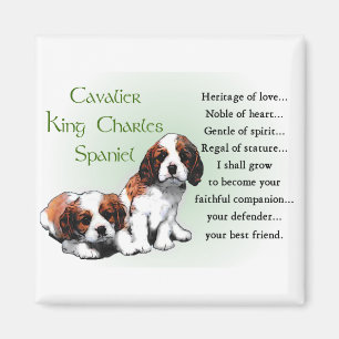 Cavalier King Charles Spaniel Gifts Magnet