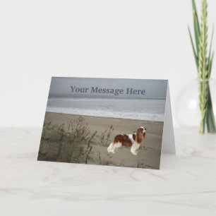 Cavalier King Charles Spaniel Greeting Card