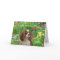 Cavalier King Charles Spaniel Greeting Card