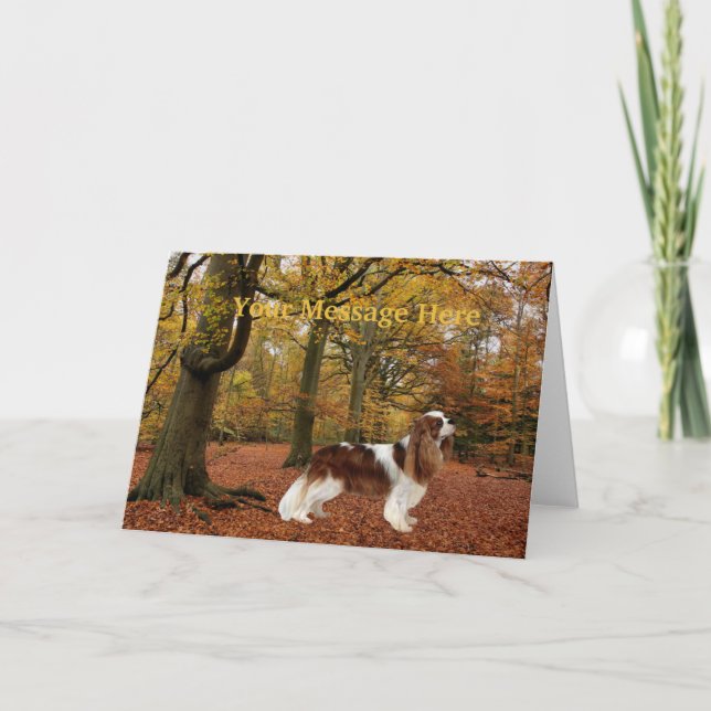 Cavalier King Charles Spaniel Greeting Card (Front)