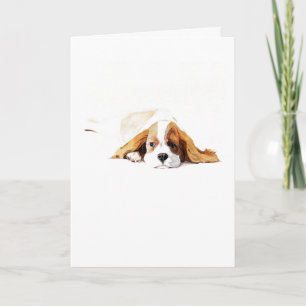 Cavalier King Charles Spaniel Greeting Card, Gift Card