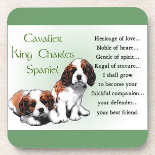 Cavalier King Charles Spaniel Heritage of Love Coaster