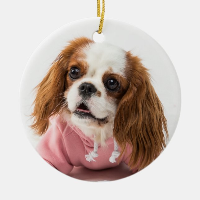 Cavalier King Charles Spaniel in Pink Jacket Ceramic Ornament (Front)