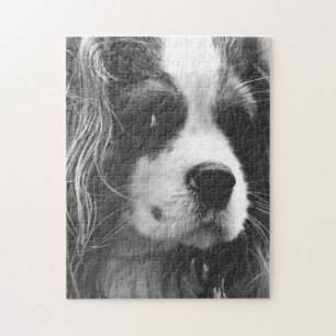 Cavalier King Charles Spaniel Jigsaw Puzzle