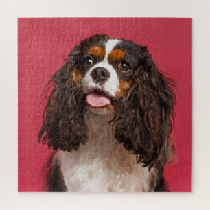 Cavalier King Charles Spaniel Jigsaw Puzzle