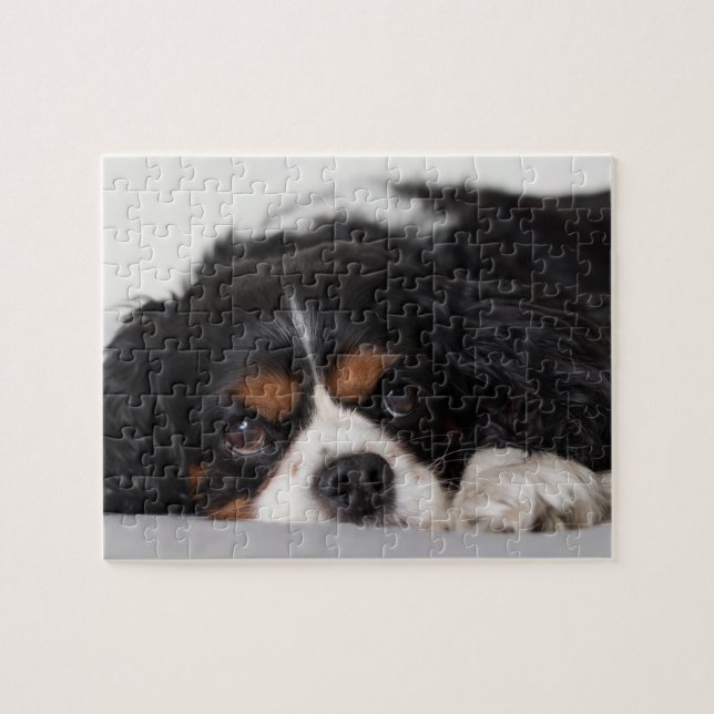Cavalier King Charles Spaniel Jigsaw Puzzle (Horizontal)