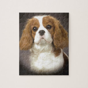 Cavalier King Charles Spaniel Jigsaw Puzzle