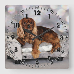 Cavalier King Charles Spaniel - Keesje Square Wall Clock