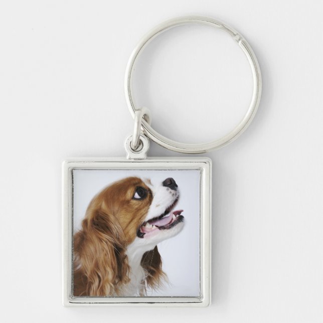 Cavalier King Charles Spaniel Keychain (Front)