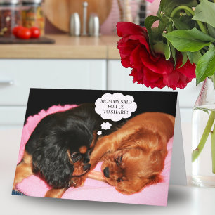 Cavalier King Charles Spaniel Let's Share  Card