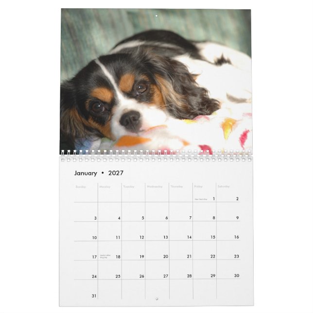Cavalier King Charles Spaniel Love! - Customized Calendar (Jan 2027)
