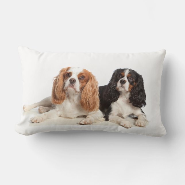 Cavalier King Charles Spaniel Lumbar Pillow (Front)