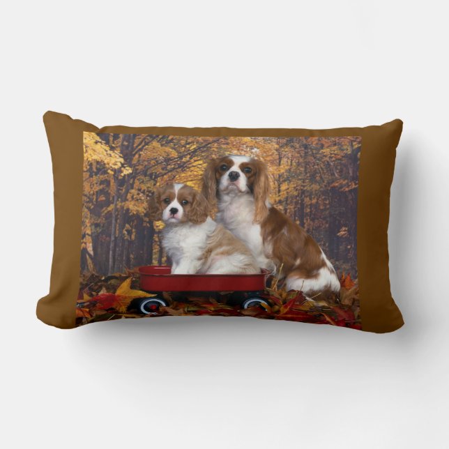 Cavalier King Charles Spaniel Lumbar Pillow (Front)