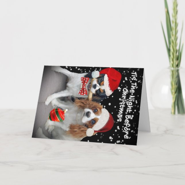 Cavalier King Charles Spaniel Merry Christmas Card (Front)