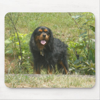 Cavalier King Charles Spaniel Mouse Pad