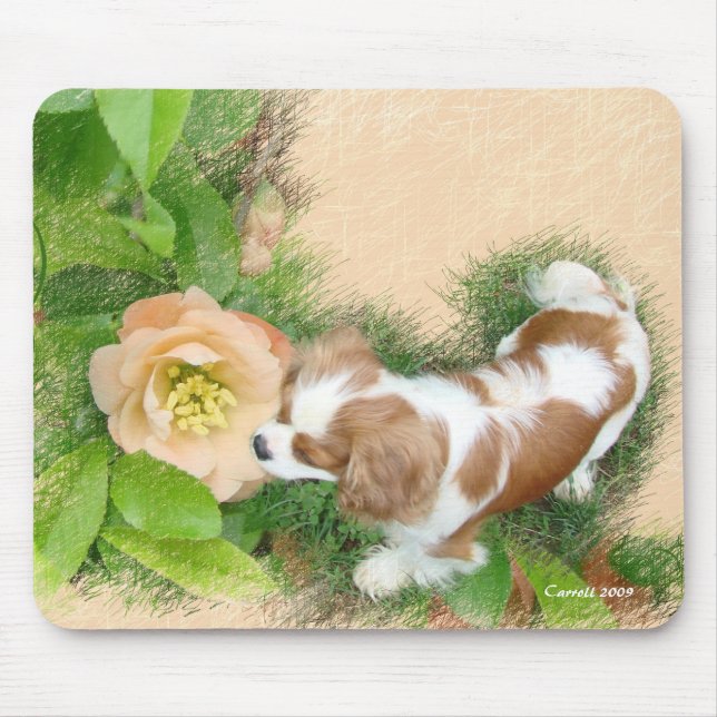 Cavalier King Charles Spaniel Mouse Pad (Front)