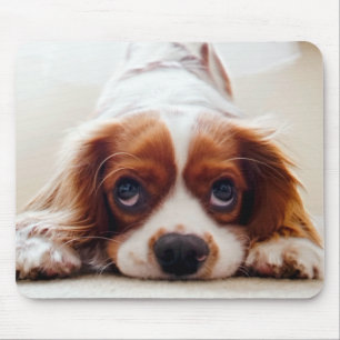Cavalier King Charles Spaniel Mouse Pad