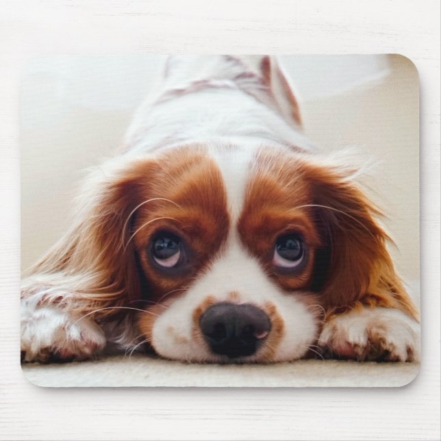 Cavalier King Charles Spaniel Mouse Pad (Front)