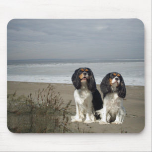 Cavalier King Charles Spaniel Mousepad